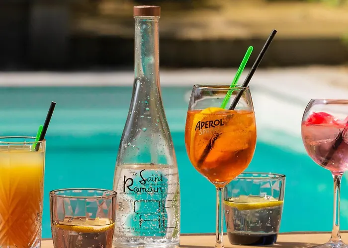 Logis Hotel Restaurant Saint Romain Hotell Anse